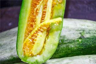 网红mack吃瓜,揭秘娱乐圈幕后真相